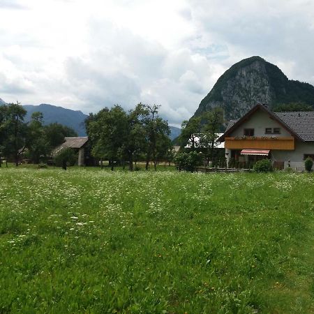 Apartmaji Bremec Bohinj Exteriör bild